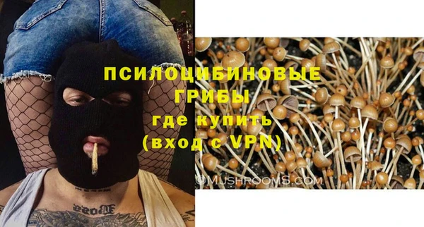 первитин Белоозёрский