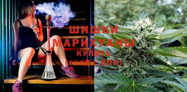 Альфа ПВП Белокуриха