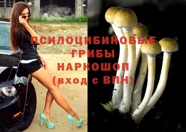 первитин Белоозёрский