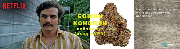 Альфа ПВП Белокуриха