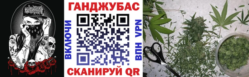 Бошки Шишки план  OMG ТОР  Городовиковск 
